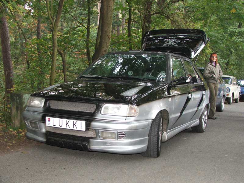 Obrázek