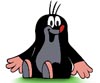 Uživatelský avatar